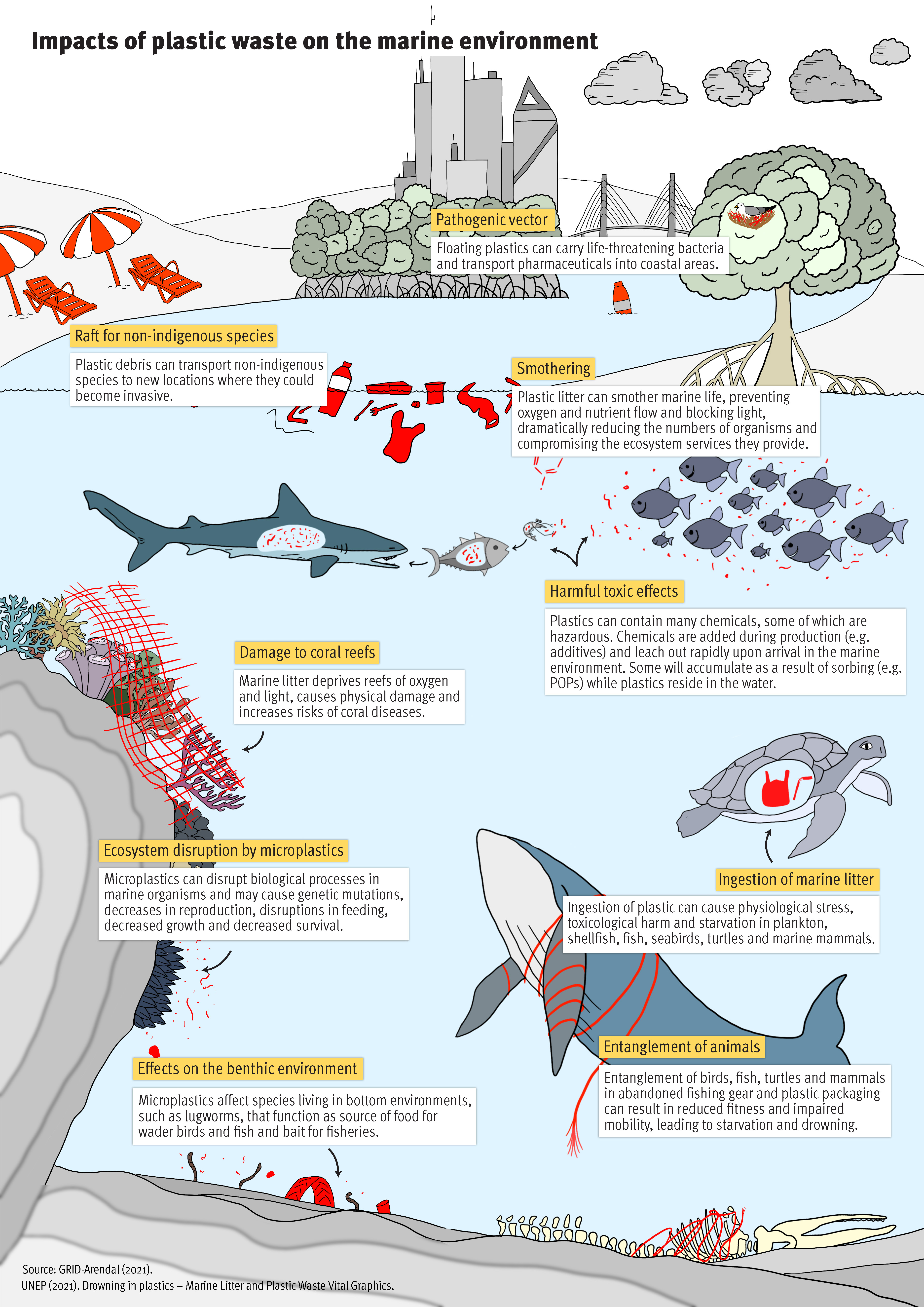 the effects of plastic pollution on biodiversity